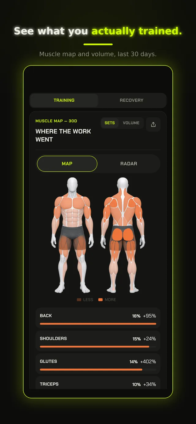 Muscle map: where the work went over the last 30 days